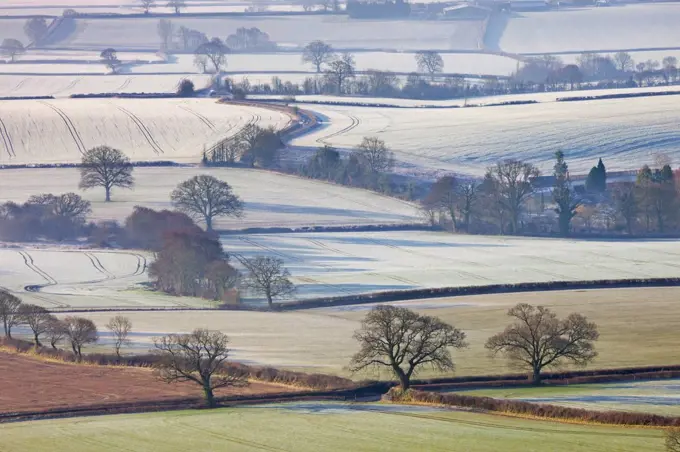 Frosted winter fields near Shobrooke, Devon, England, United Kingdom, Europe