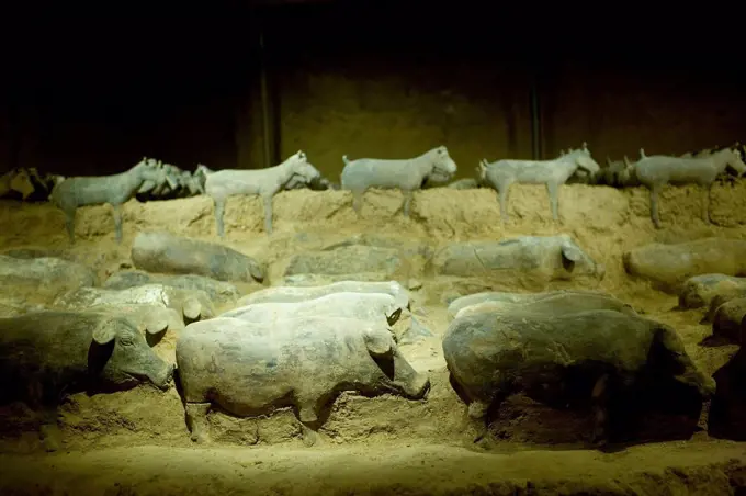 Terracotta animal figures at the Han Dynasty Tomb of Han Yang Ling, Xian, China