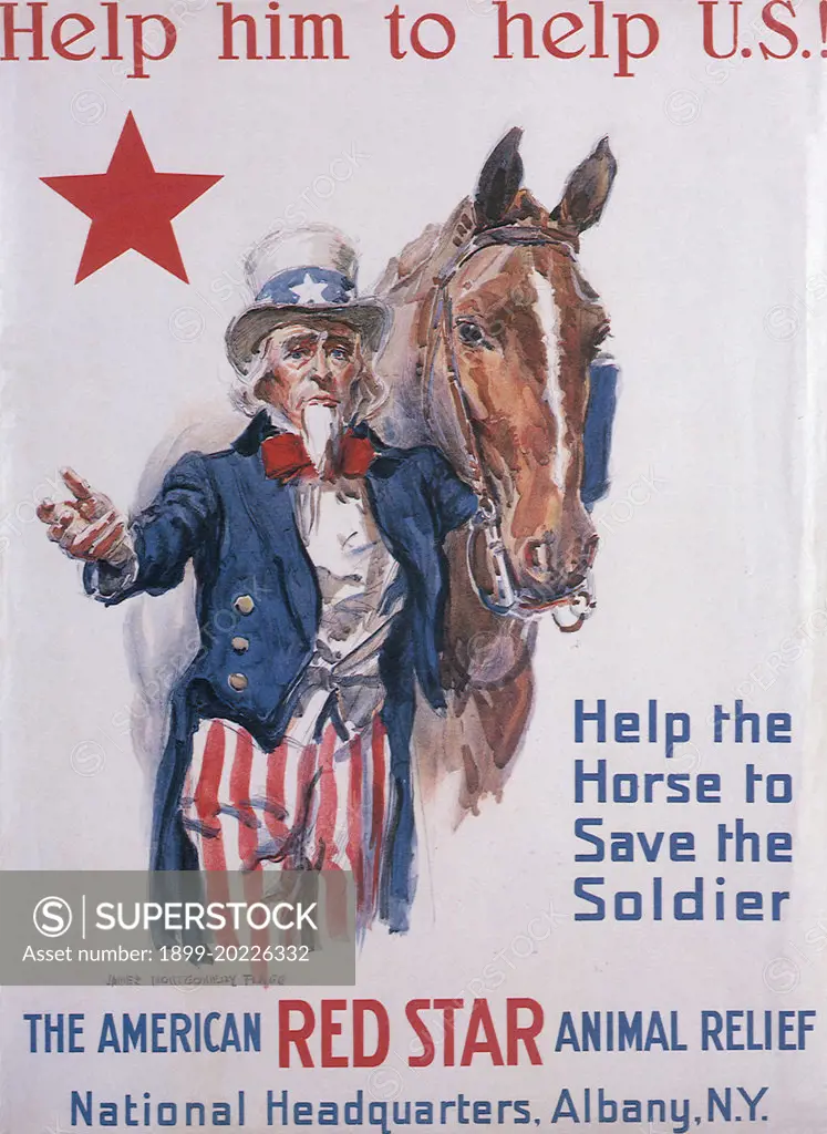 Uncle Sam and Horse. 