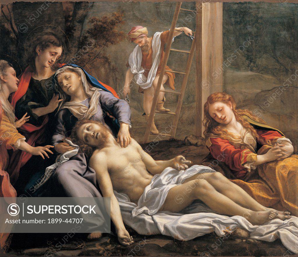 Stock Photo: 1899-44707 Deposition from the Cross, by Allegri Antonio known as Correggio, 1524 - 1526, 16th Century, oil on canvas. Italy: Emilia Romagna: Parma: National Gallery of Art. Whole artwork. Lamentation dead Christ half-naked body drape fainting Virgin Mary Madonna saints apostles Magdalene steps/stairs rungs wood pincers/pliers