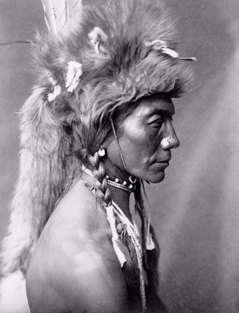 Edward S. Curits Native American Indians - Yellow Kidney, Piegan man, head-and-shoulders portrait, facing left, wearing a fur headdress circa 1910 .