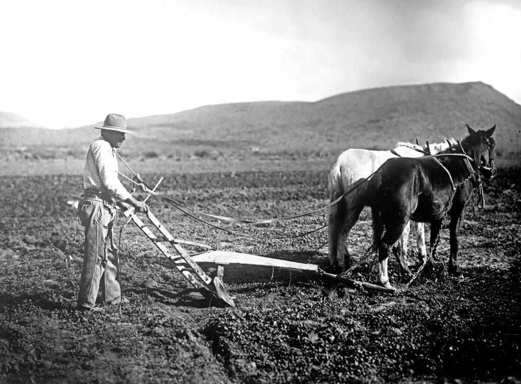 Salt River Project, [Arizona] Sacator Indian Reservation, farmer plowing a field ca.  between 1918 and 1928.