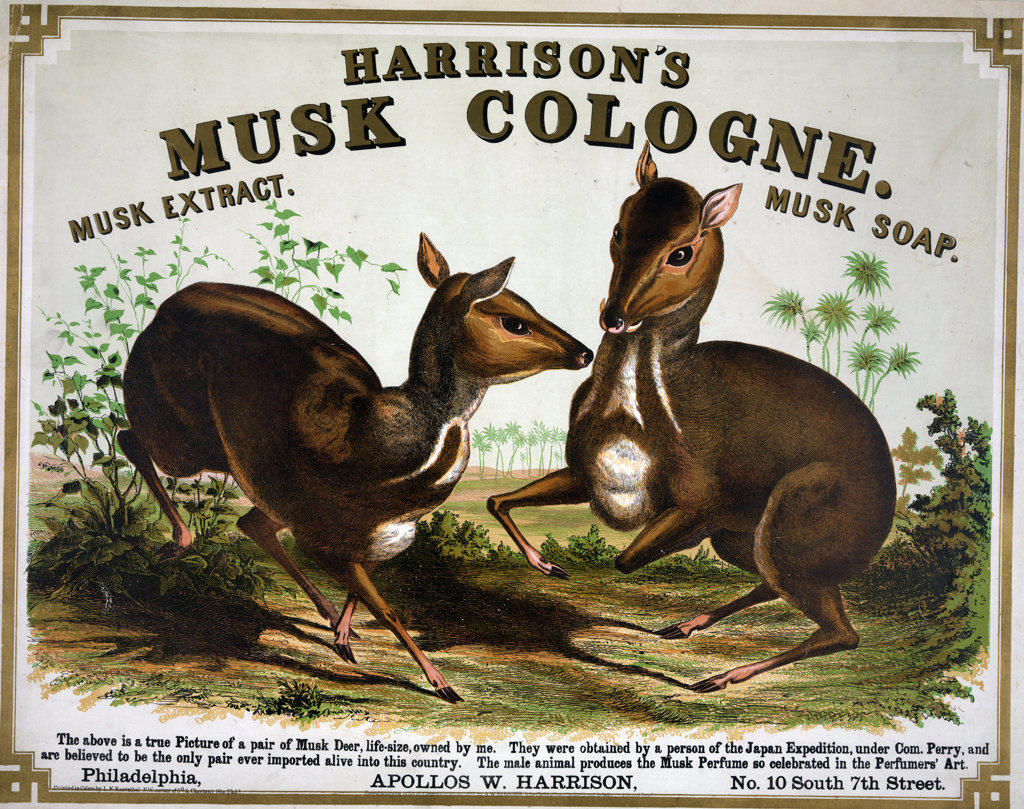 Harrison's musk cologne. Philadelphia [musk deer ca. 1857. 
