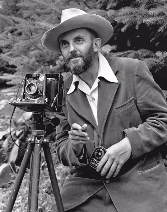 Ansel Easton Adams (February 20, 1902 – April 22, 1984) was an American photographer and environmentalist. His black-and-white landscape photographs of the American West, especially Yosemite National Park, have been widely reproduced on calendars, posters, and in books. With Fred Archer, Adams developed the Zone System as a way to determine proper exposure and adjust the contrast of the final print. The resulting clarity and depth characterized his photographs. Adams primarily used large-format cameras because their high resolution helped ensure sharpness in his images. Adams was distressed by the Japanese American Internment that occurred after the Pearl Harbor attack. He requested permission to visit the Manzanar War Relocation Center in the Owens Valley, at the foot of Mount Williamson.