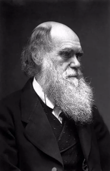 Charles Robert Darwin, FRS (12 February 1809 – 19 April 1882) was an English naturalist and geologist, best known for his contributions to evolutionary theory. He established that all species of life have descended over time from common ancestors, and in a joint publication with Alfred Russel Wallace introduced his scientific theory that this branching pattern of evolution resulted from a process that he called natural selection, in which the struggle for existence has a similar effect to the artificial selection involved in selective breeding.  Darwin published his theory of evolution with compelling evidence in his 1859 book 'On the Origin of Species', overcoming scientific rejection of earlier concepts of transmutation of species. By the 1870s the scientific community and much of the general public had accepted evolution as a fact. However, many favoured competing explanations and it was not until the emergence of the modern evolutionary synthesis from the 1930s to the 1950s that a 