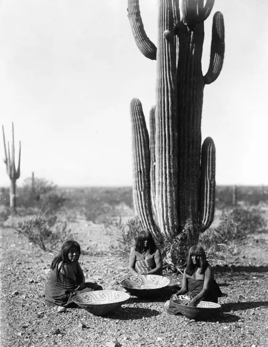 Edward S. Curtis Native American Indians - Three Maricopa Indians, seated in front of cactus, with baskets ca. 1907. 