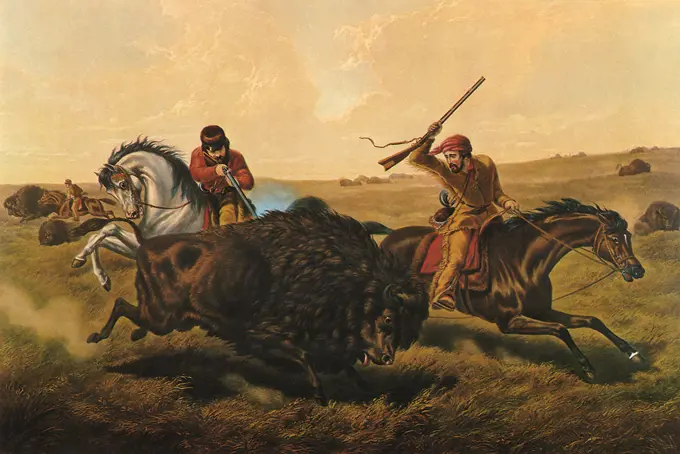 Life on the Prairie, The 'Buffalo Hunt'. 
