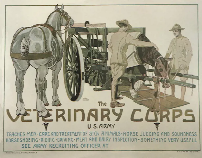 The Veterinary Corps. 