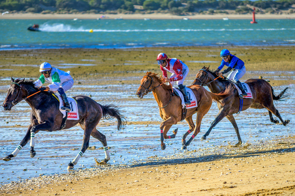Horse race on the beach, Sanlucar de Barrameda, Spain.