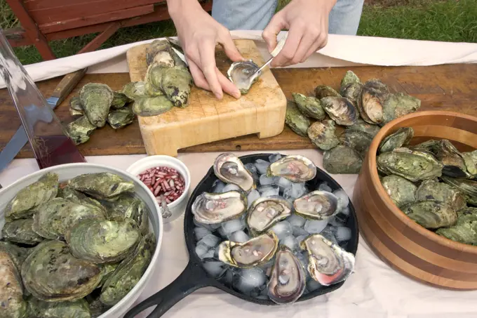 Cultured oysters, shellfish, Food