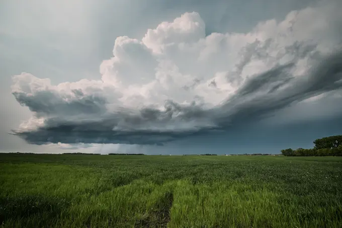 Storm forming shelf cloud over field in southern Manitoba, Canada