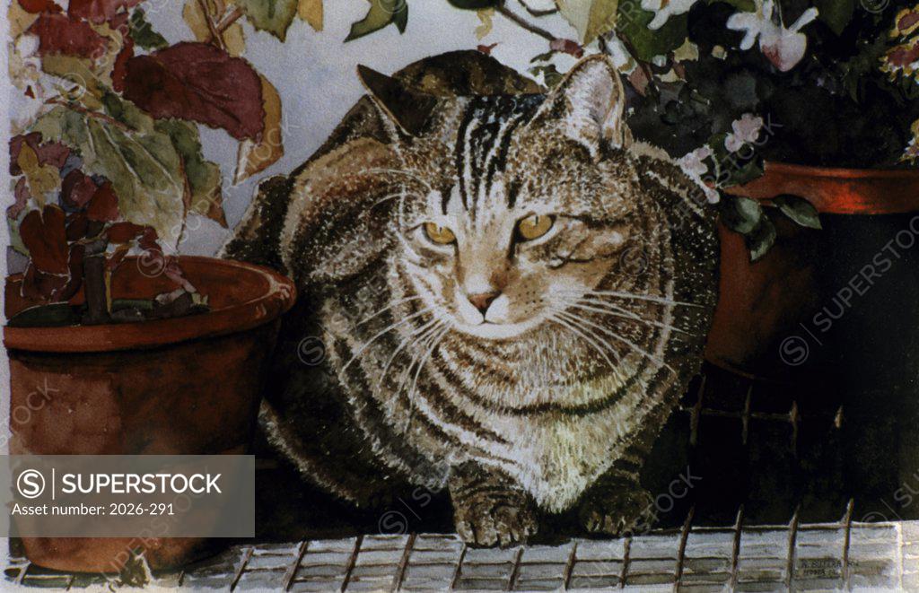 Stock Photo: 2026-291 Hosta the Cat 2002 Anthony Butera (b.20th C.) Monotype
