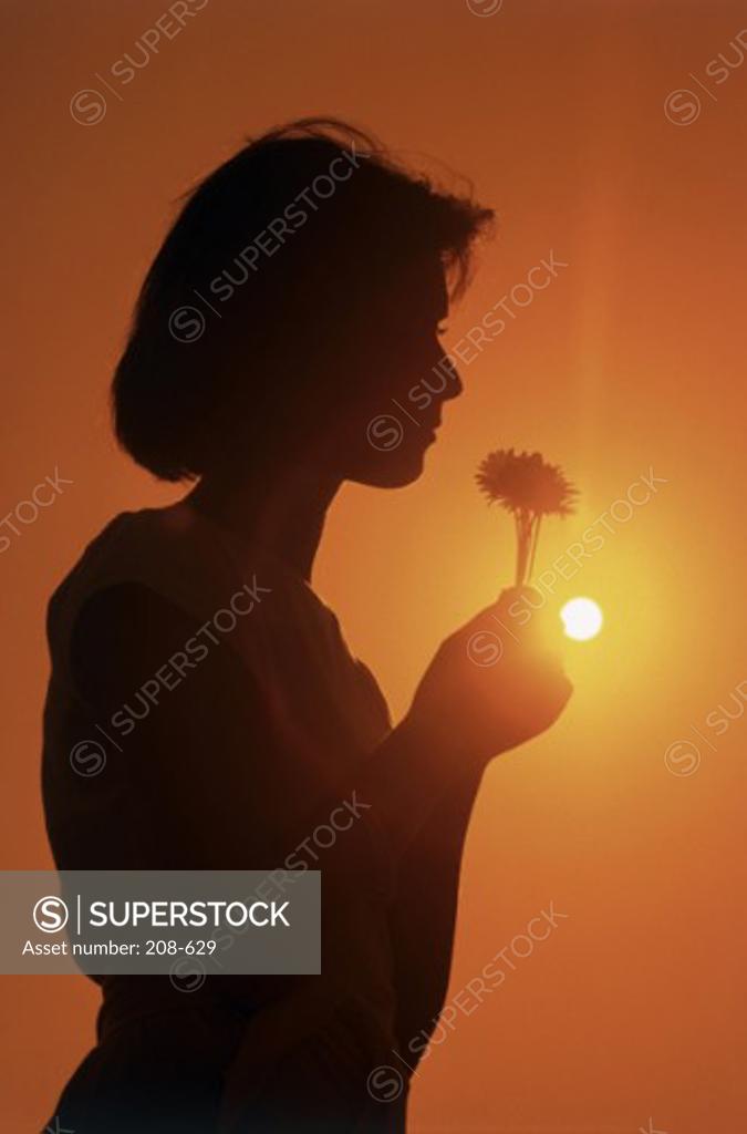 Stock Photo: 208-629 Silhouette of a young woman holding a flower at sunset