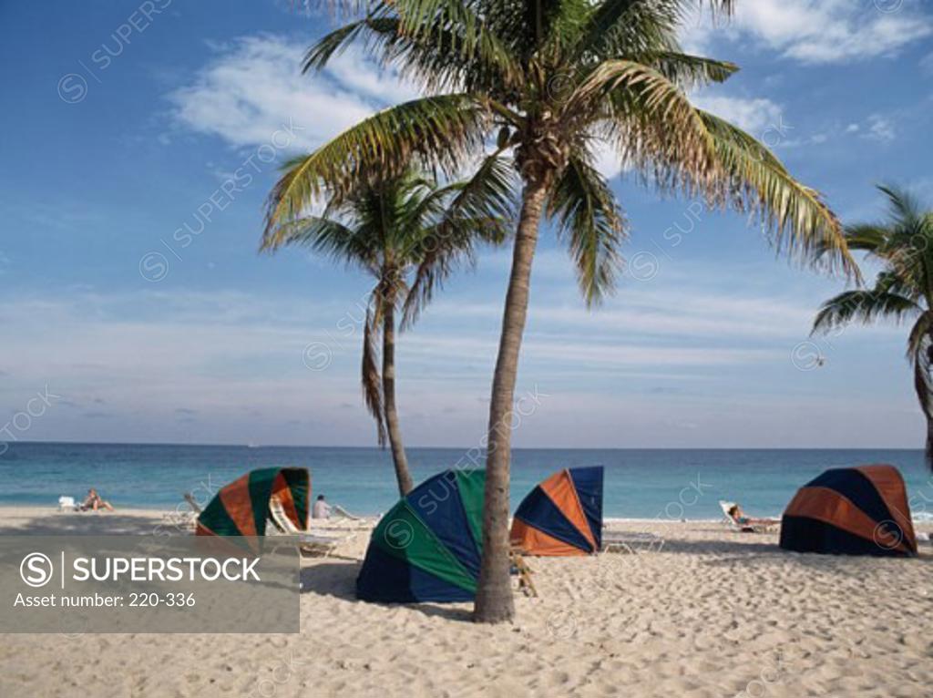 Stock Photo: 220-336 Tents on the beach, Fort Lauderdale Beach, Fort Lauderdale, Florida, USA