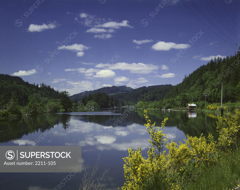 Stock Photo: 2211-105 Siuslaw River Oregon USA