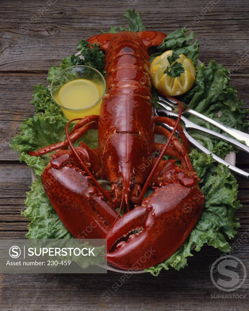 Stock Photo: 230-459 Close-up of a lobster served on lettuce leaves