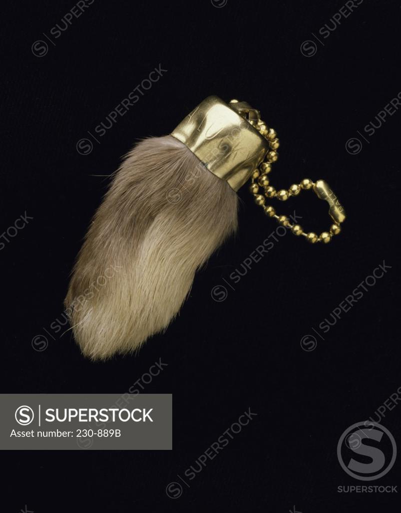 Stock Photo: 230-889B Close-up of a lucky rabbit's foot