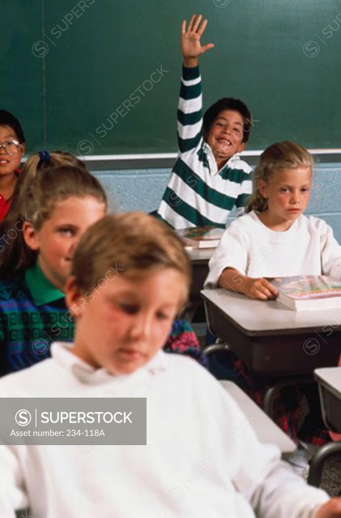 Stock Photo: 234-118A Schoolboys and schoolgirls studying in a classroom