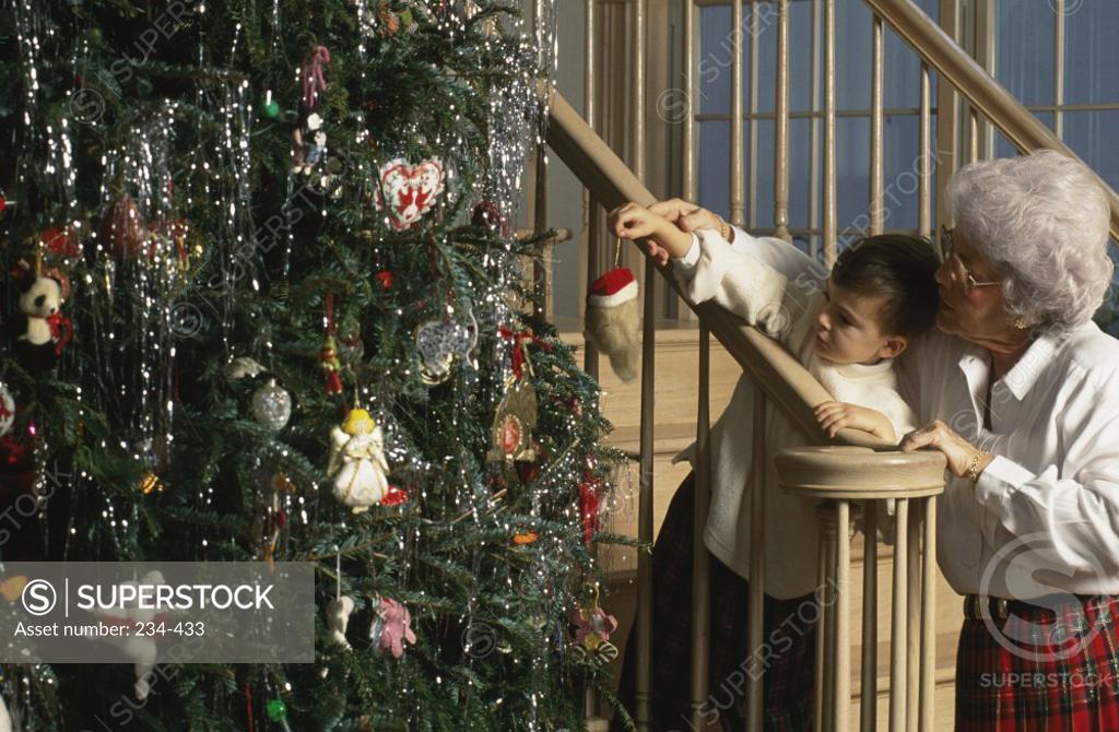 Stock Photo: 234-433 Boy with his grandmother decorating a Christmas tree