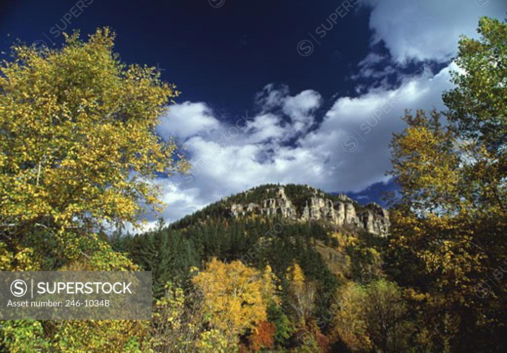 Stock Photo: 246-1034B Black Hills National Forest South Dakota USA
