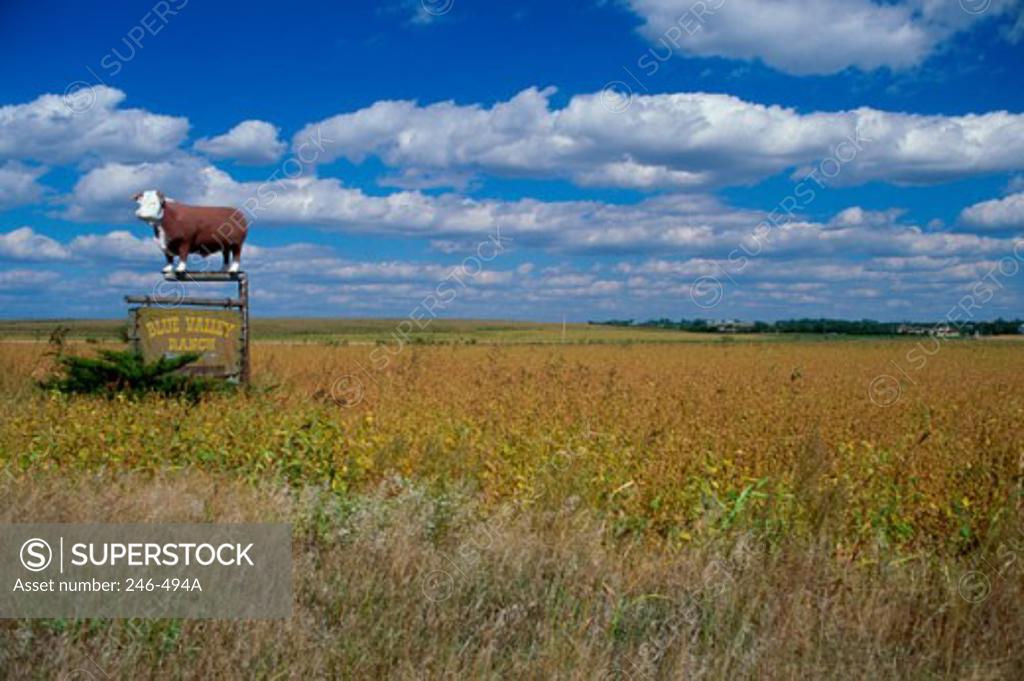 Stock Photo: 246-494A Blue Valley Ranch Marysville Kansas USA