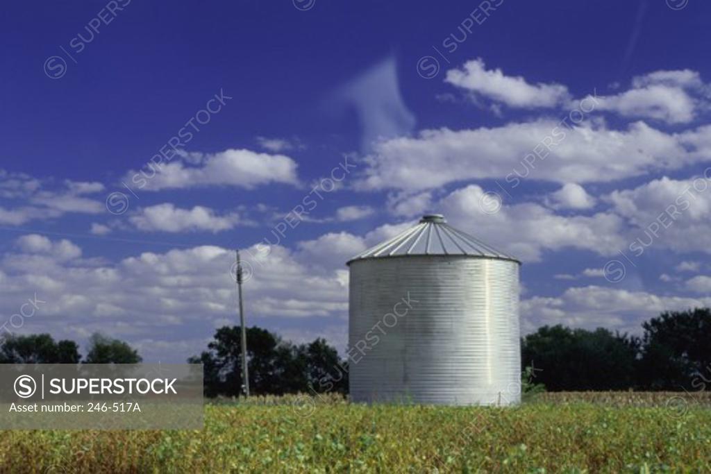 Stock Photo: 246-517A Soy Field Gage County Nebraska USA