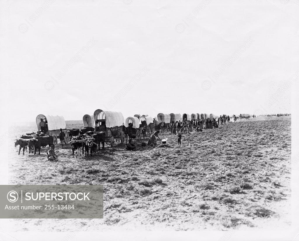 Stock Photo: 255-13484 Settlers in covered wagons moving out west