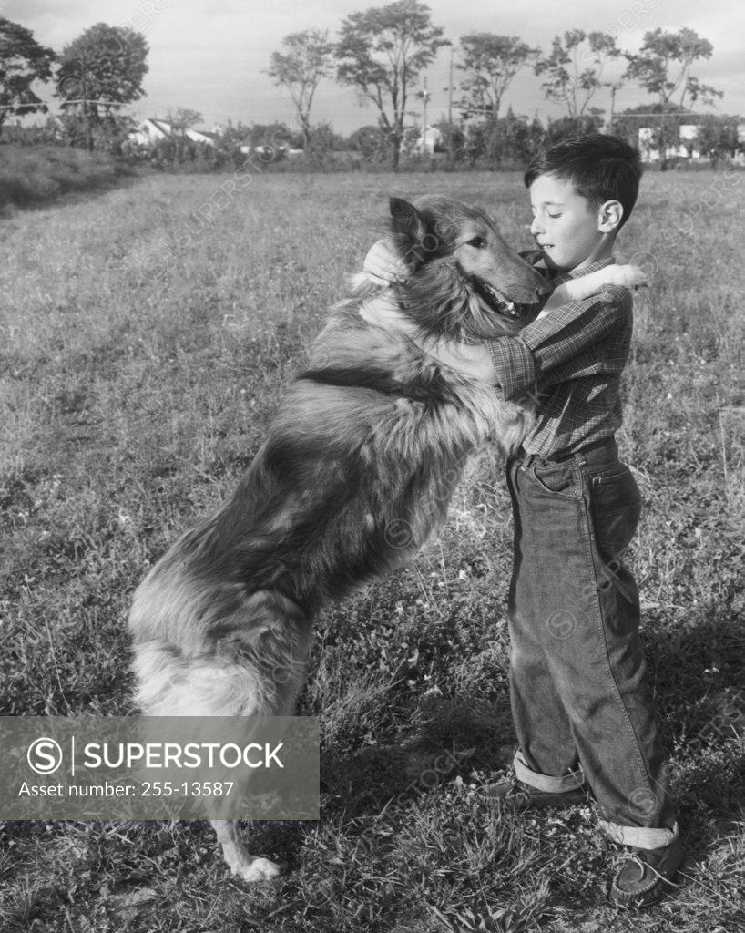 Stock Photo: 255-13587 Side profile of boy playing with his dog