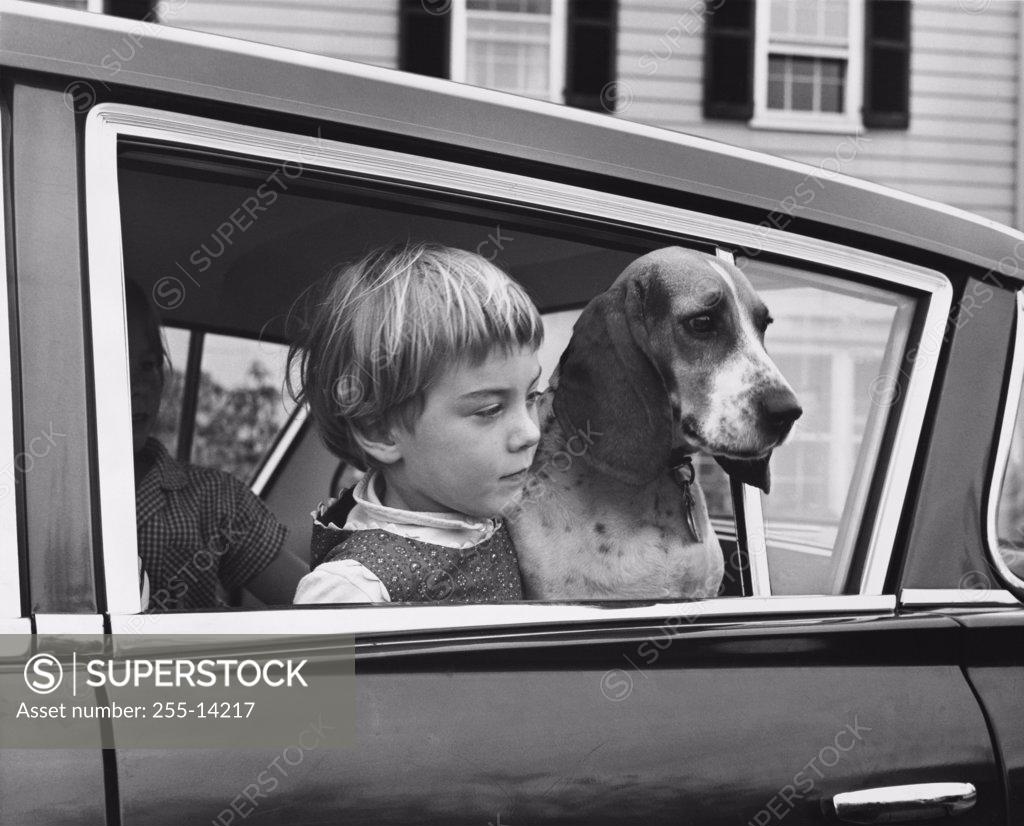 Stock Photo: 255-14217 Girl with her dog in car looking through window