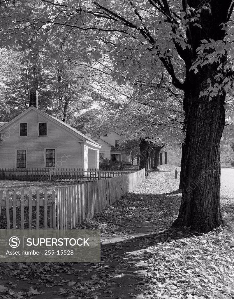 Stock Photo: 255-15528 Picket fence in front of a house, Bristol, Vermont, USA