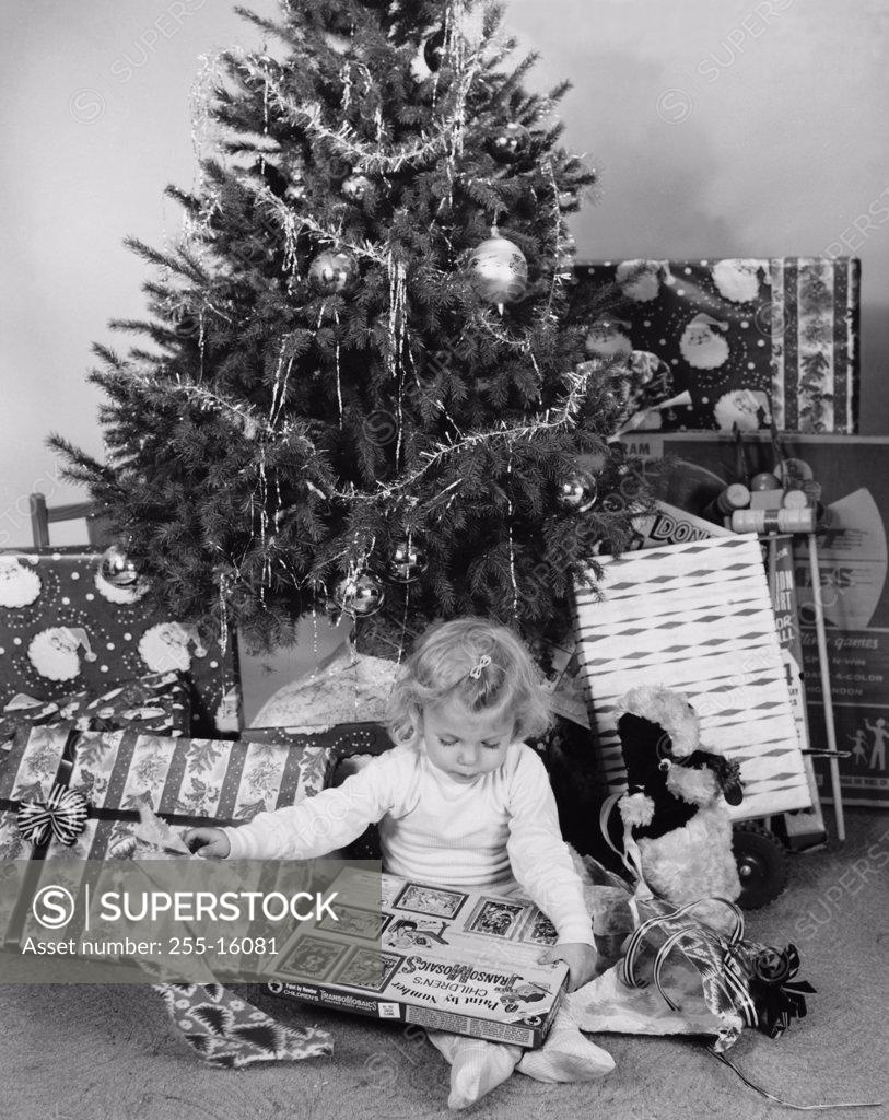 Stock Photo: 255-16081 Girl sitting in front of a Christmas tree and opening a Christmas present