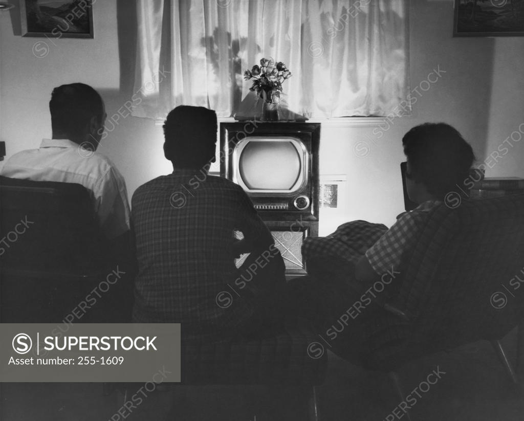 Stock Photo: 255-1609 Rear view of parents with their son sitting in front of a television