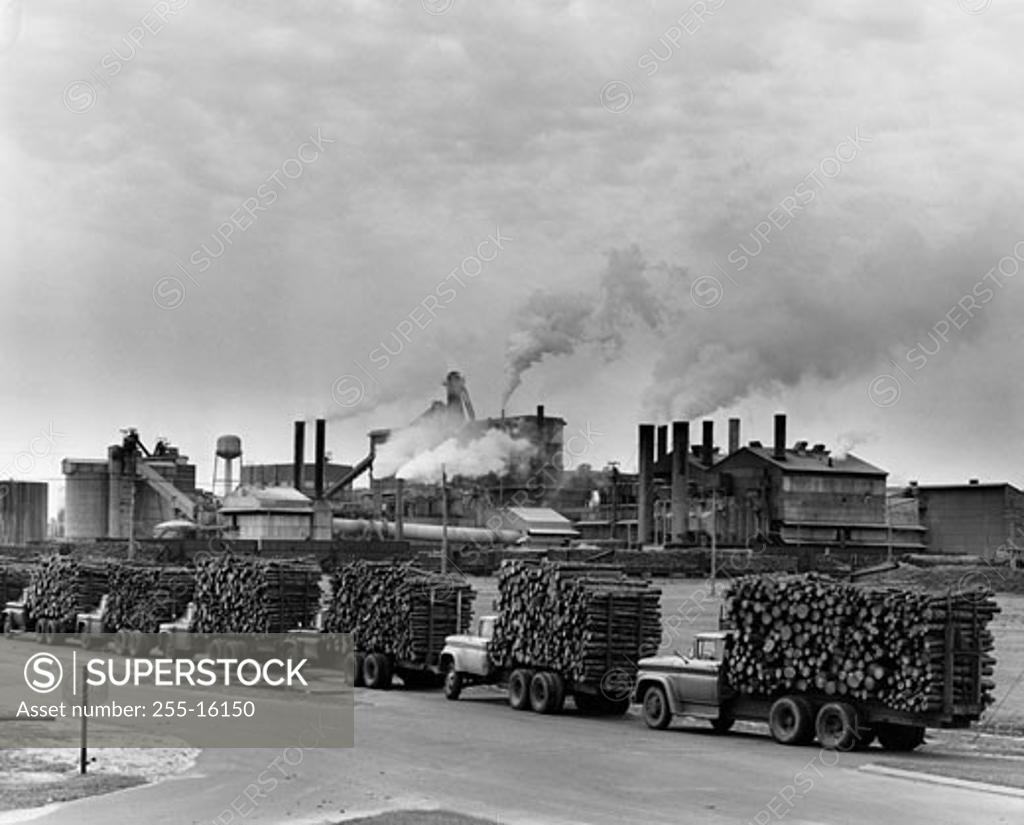 Stock Photo: 255-16150 Group of trucks transporting wooden logs to a paper mill