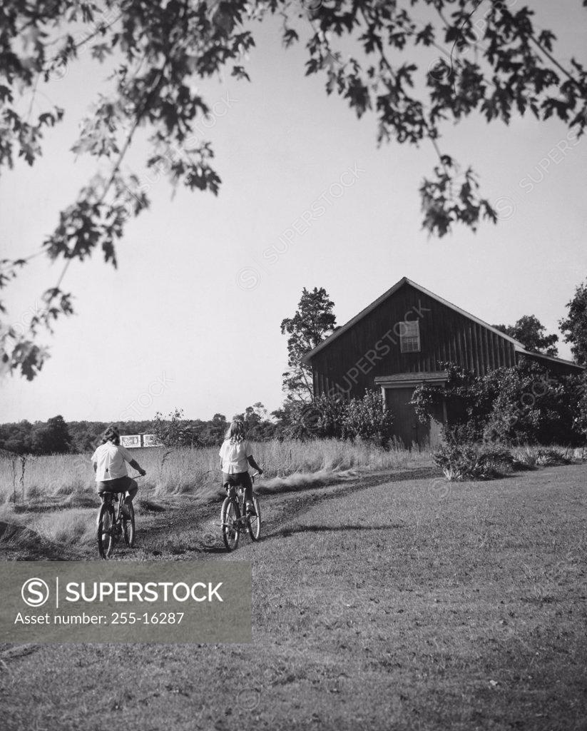 Stock Photo: 255-16287 Rear view of two girls riding bicycles