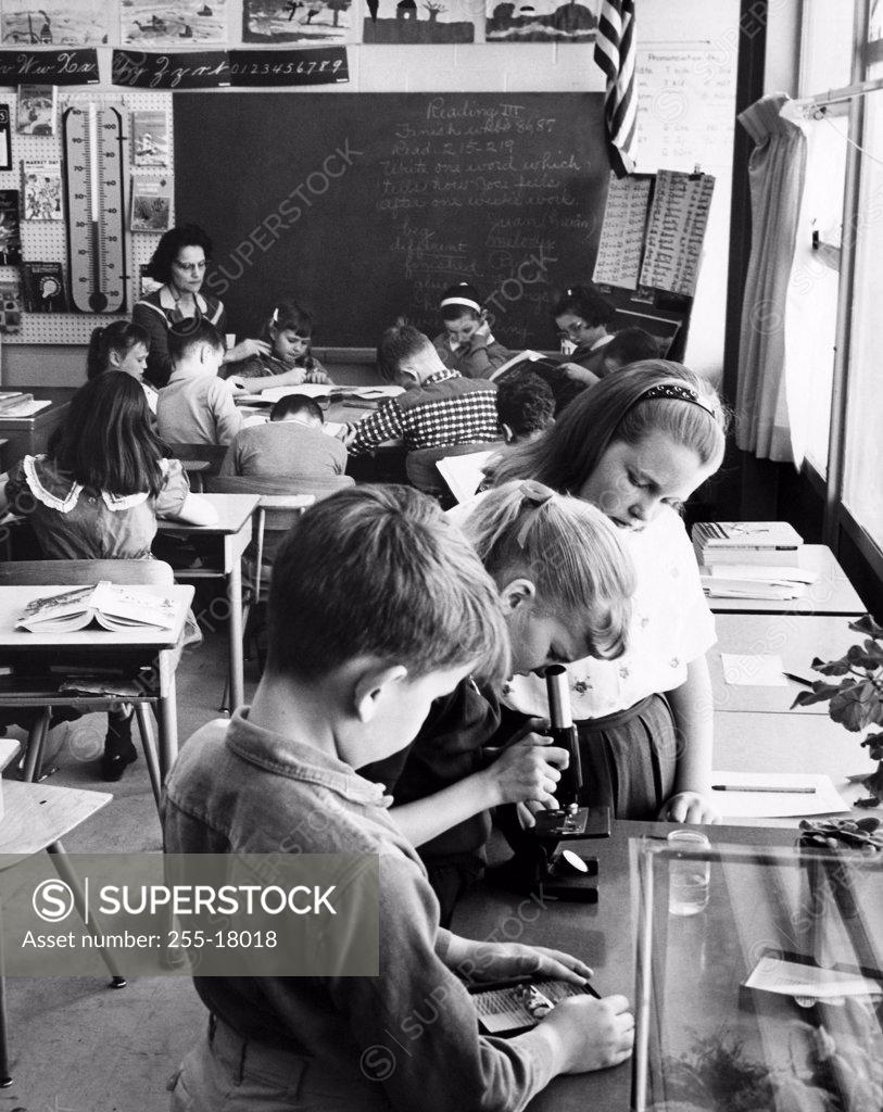 Stock Photo: 255-18018 School children in a science class