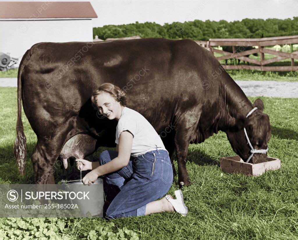Stock Photo: 255-18502A Portrait of a young woman milking a cow