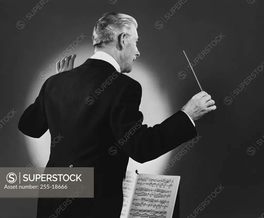 Rear view of a music conductor holding a conductor's baton