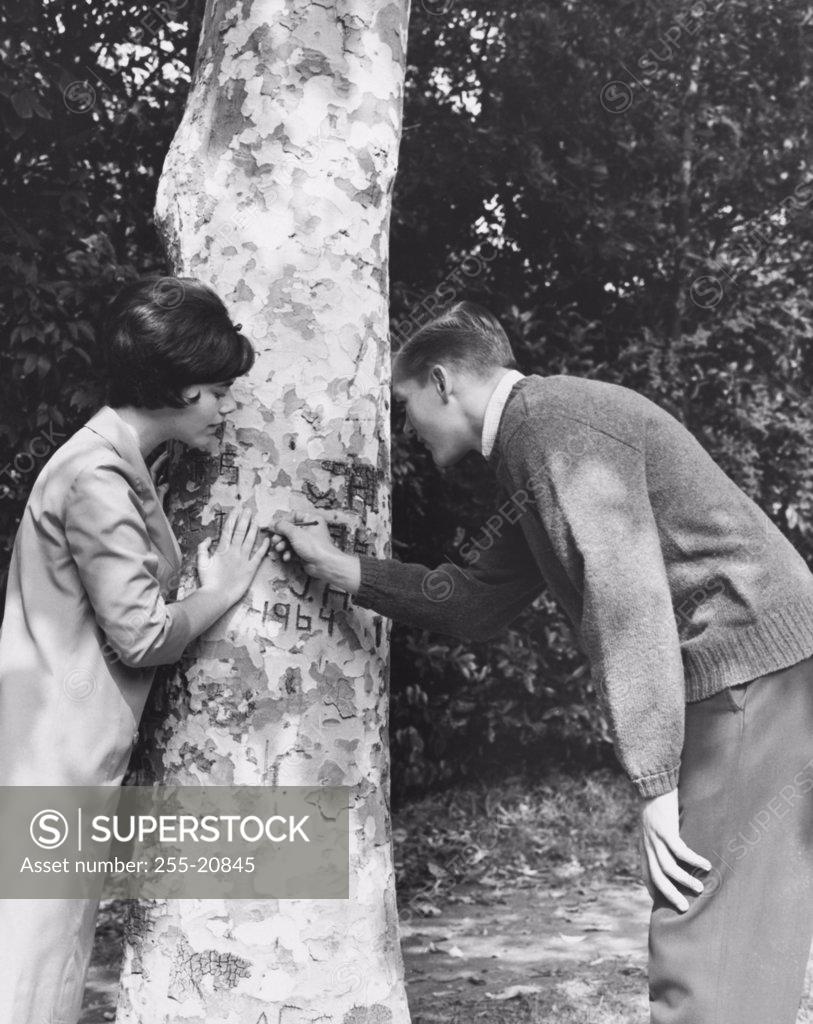 Stock Photo: 255-20845 Side profile of a young couple carving their initials on a tree