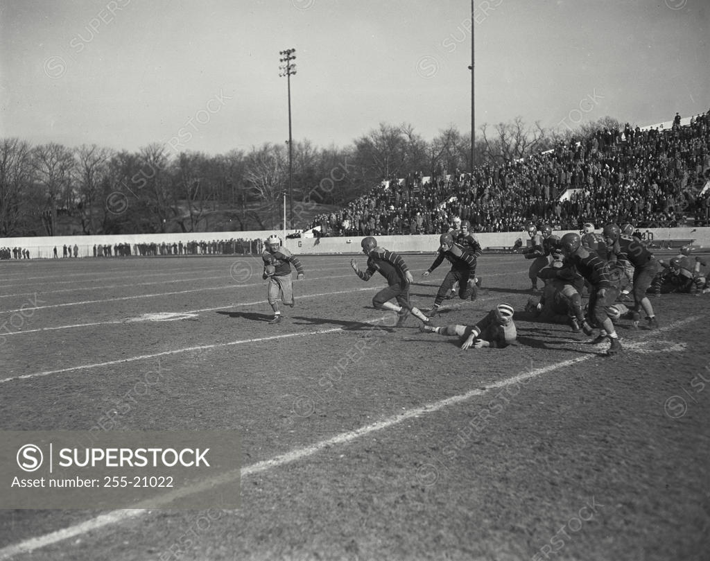 Stock Photo: 255-21022 Football players playing football on a football field