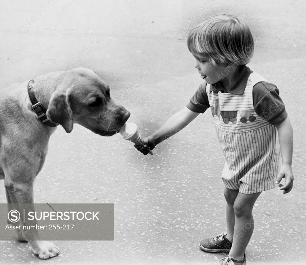 Stock Photo: 255-217 Side profile of a boy feeding ice-cream to his dog