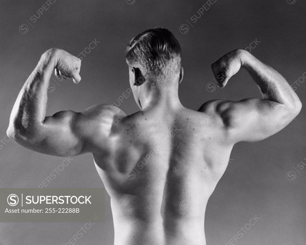 Stock Photo: 255-22288B Rear view of a male body builder flexing his muscles
