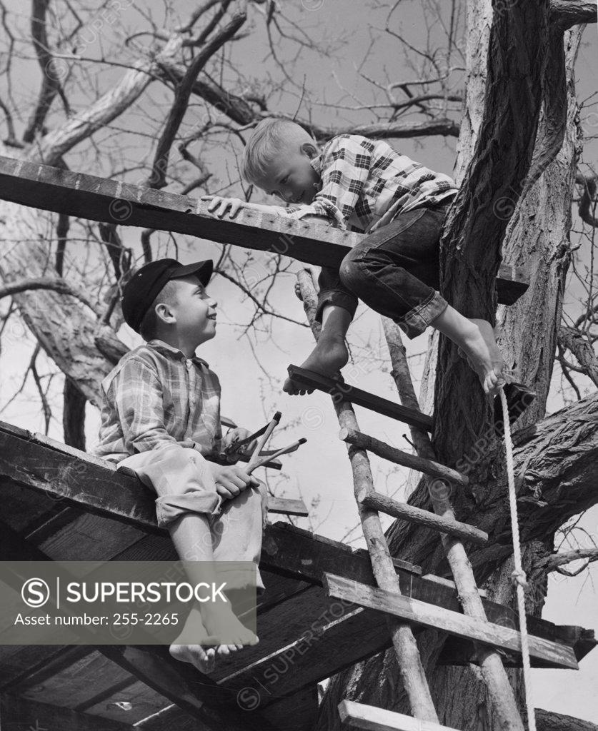 Stock Photo: 255-2265 Two boys (8-9) playing in tree house