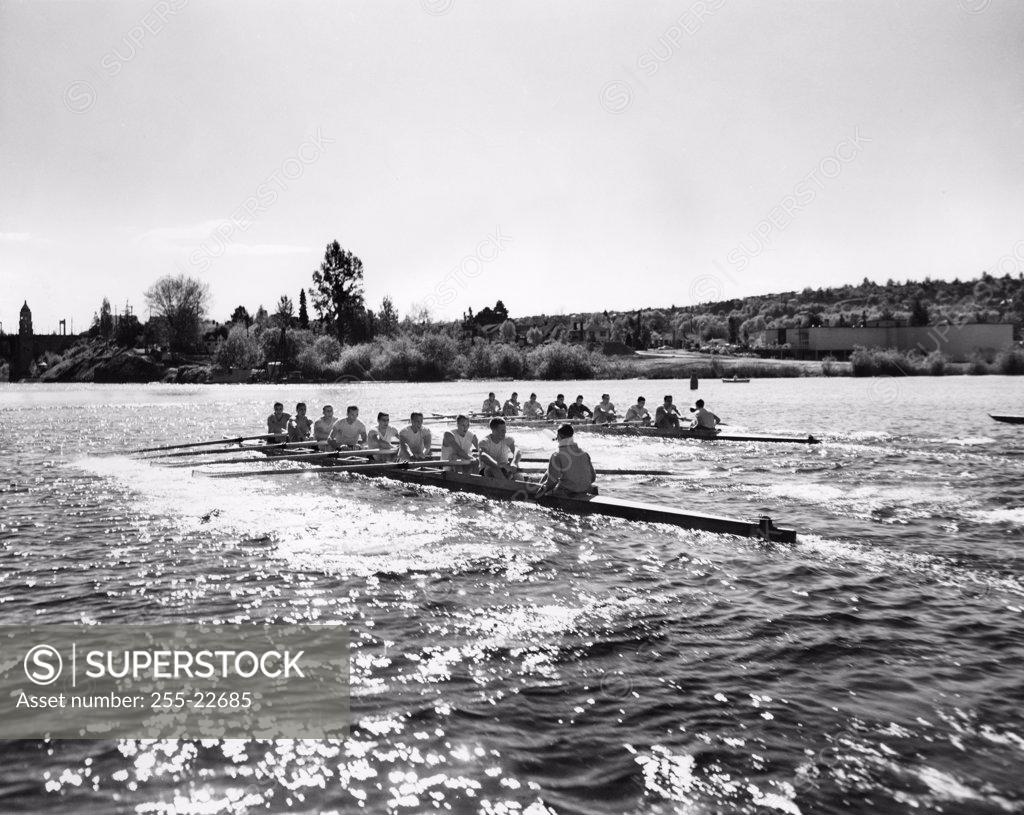 Stock Photo: 255-22685 Group of men rowing rowboats in a sweep rowing race, Lake Washington, Washington, USA