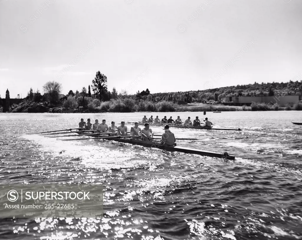Group of men rowing rowboats in a sweep rowing race, Lake Washington, Washington, USA