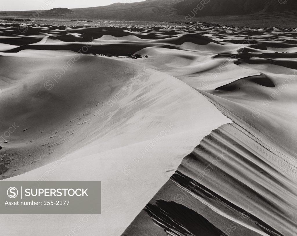Stock Photo: 255-2277 Death Valley National Park California USA