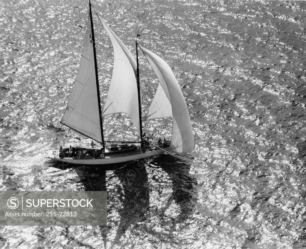 Stock Photo: 255-22812 High angle view of a sailboat in the sea