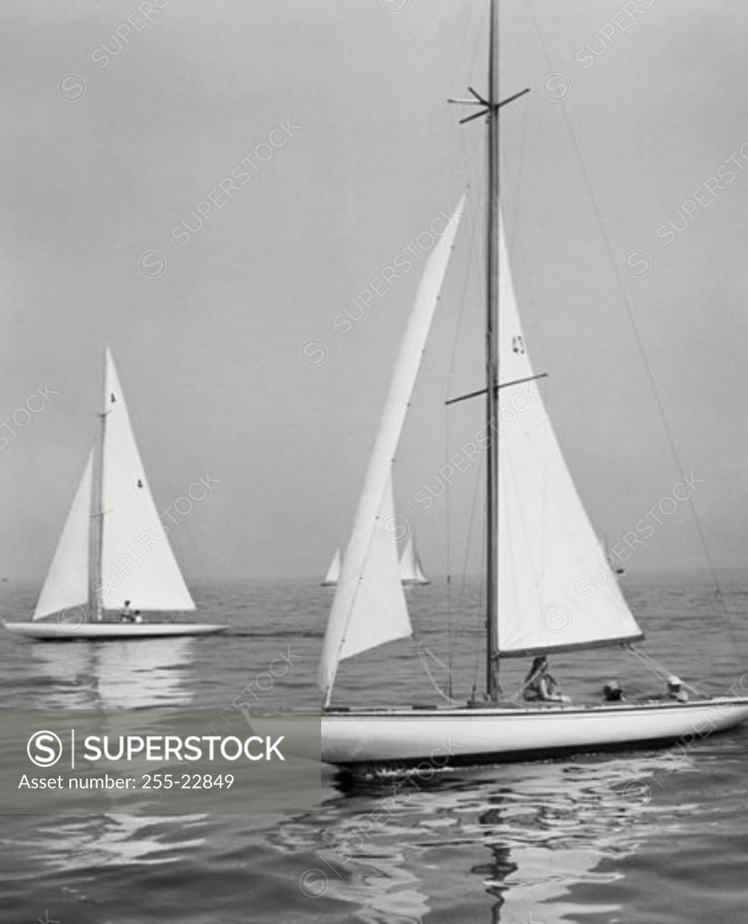 Stock Photo: 255-22849 Sailboats in the sea