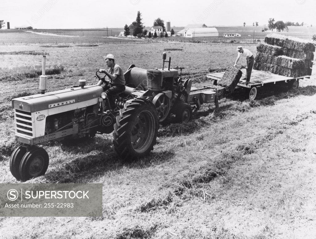 Stock Photo: 255-22983 Farmer baling alfalfa crop in a field, Illinois, USA