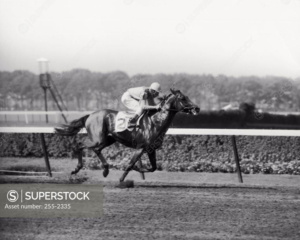 Stock Photo: 255-2335 Side profile of a jockey and racehorse riding in a race