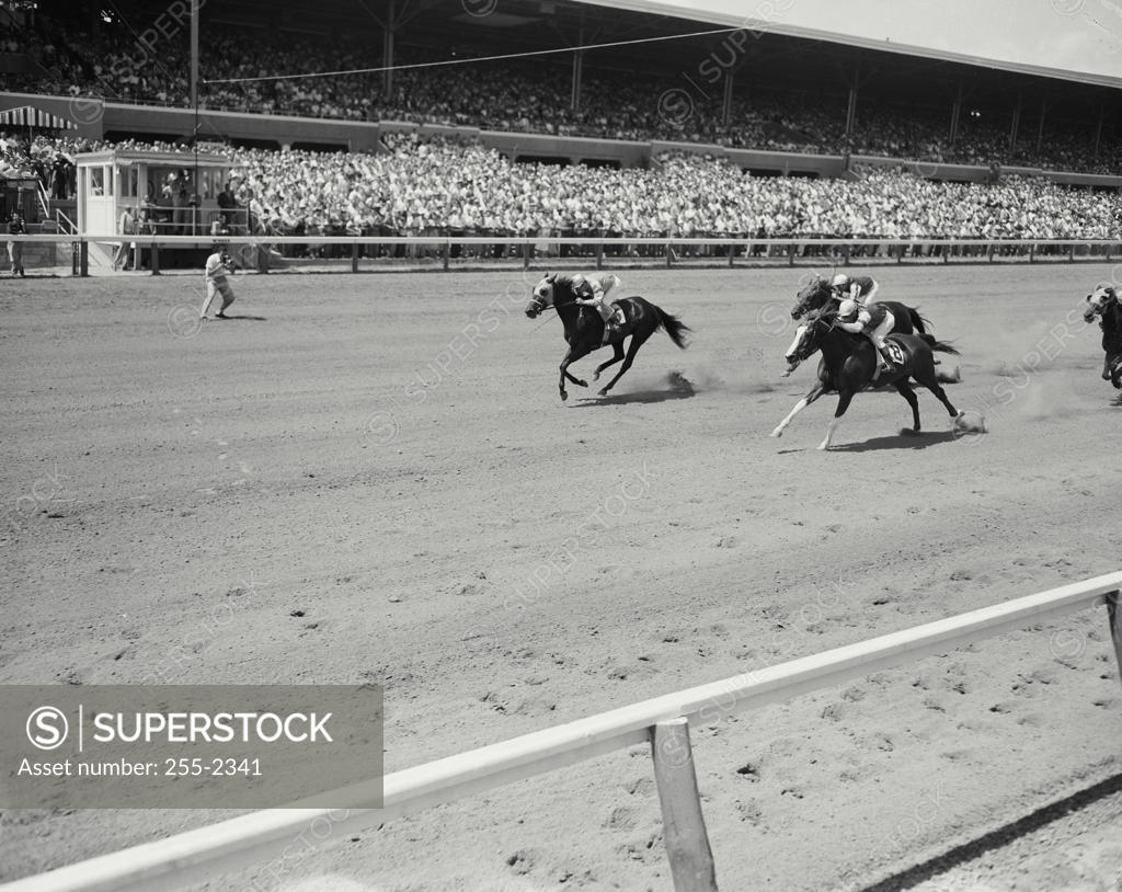 Stock Photo: 255-2341 Three jockeys riding horses in a race, Delaware Park, Wilmington, Delaware, USA